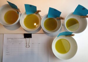 Cobram_Olive_OIl_tasting_1