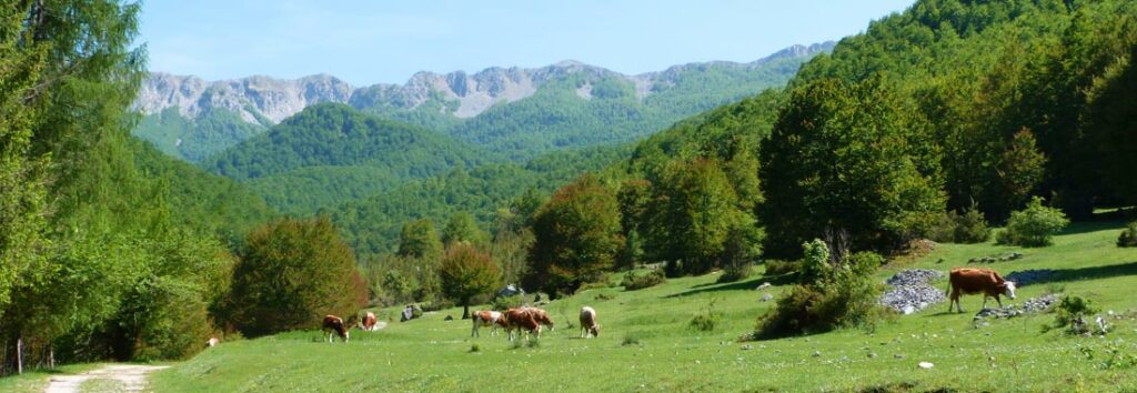 parco nazionale